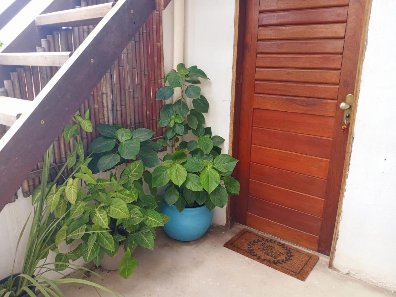 1 Coco Bambu Pipa Apto 1, A 200 M Da Praia E A 100 M Do Centro Da Cidade Praia de Pipa Экстерьер фото
